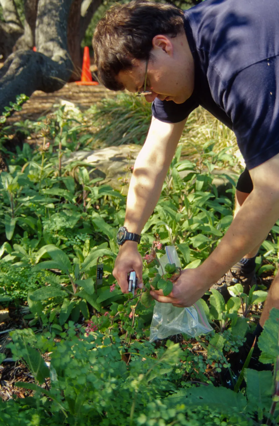 SBBG People: Andrew Wyatt at Work, plant propagation