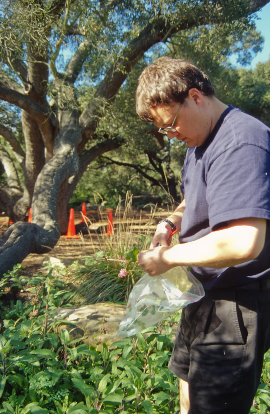 SBBG People: Andrew Wyatt at Work, plant propagation
