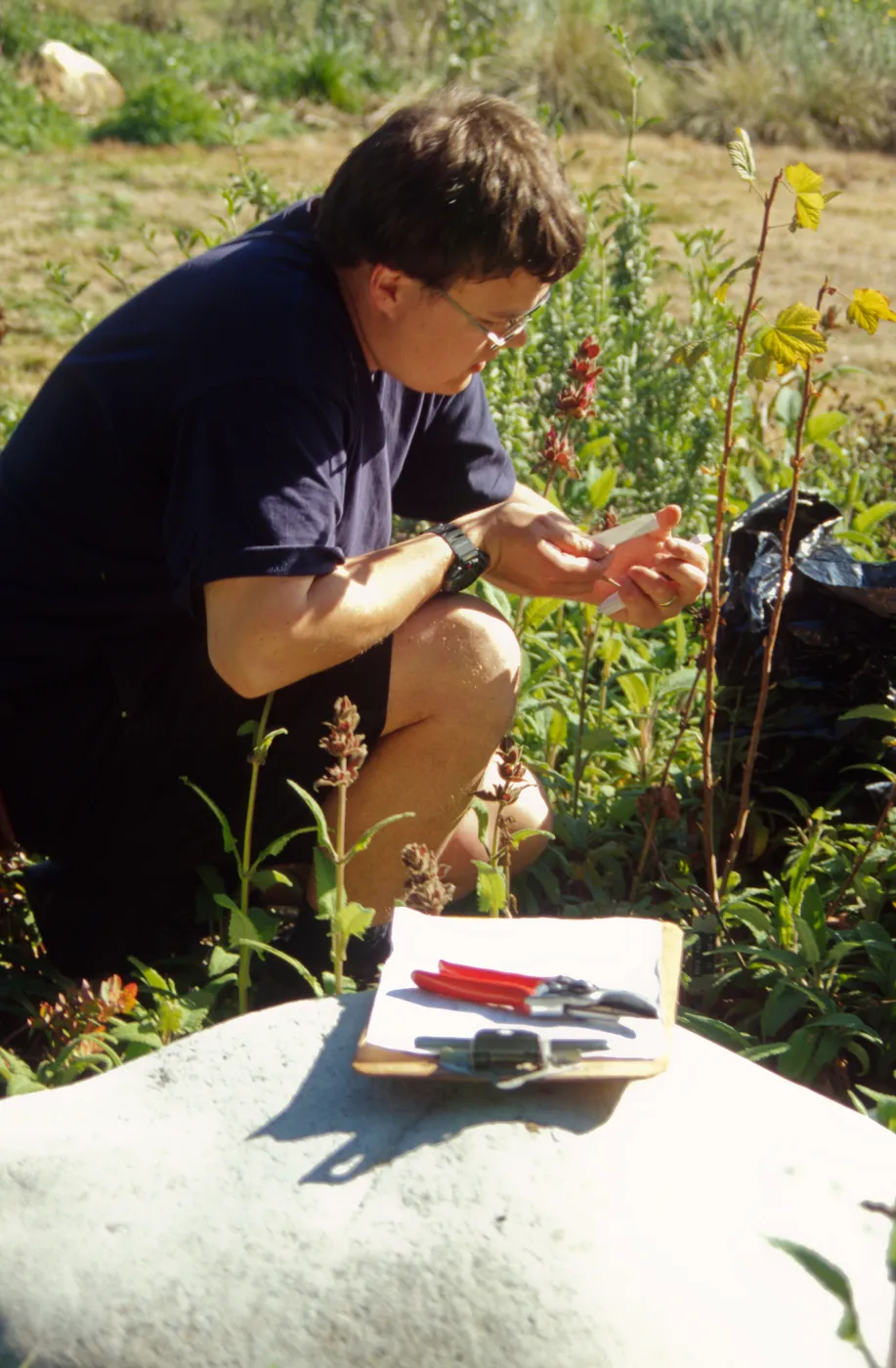 SBBG People: Andrew Wyatt at Work, plant propagation