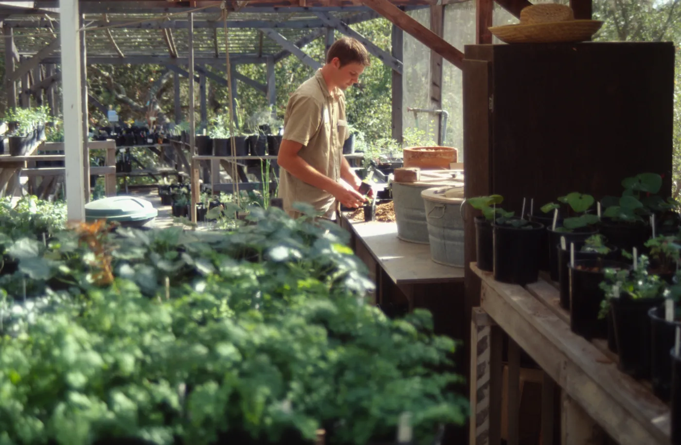 SBBG People: Horticulture Intern Jon 