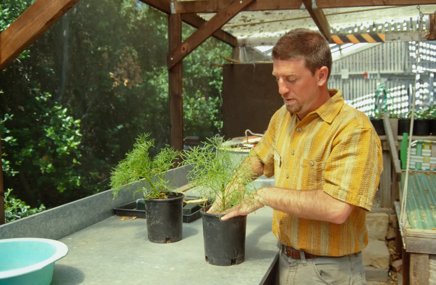 Matthew Barmann, SBBG Horticulture Intern