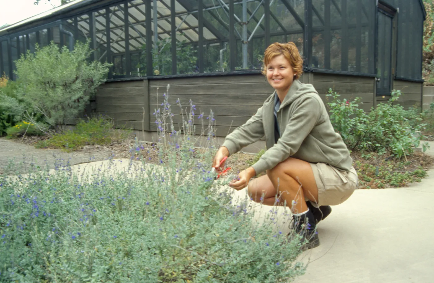 SBBG Horticulture Intern