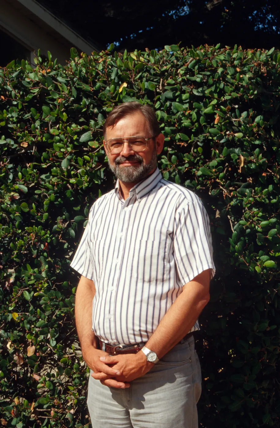 Dieter Wilken