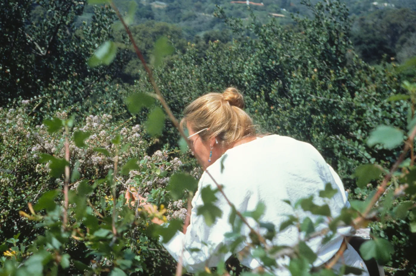 SBBG People - In the Field