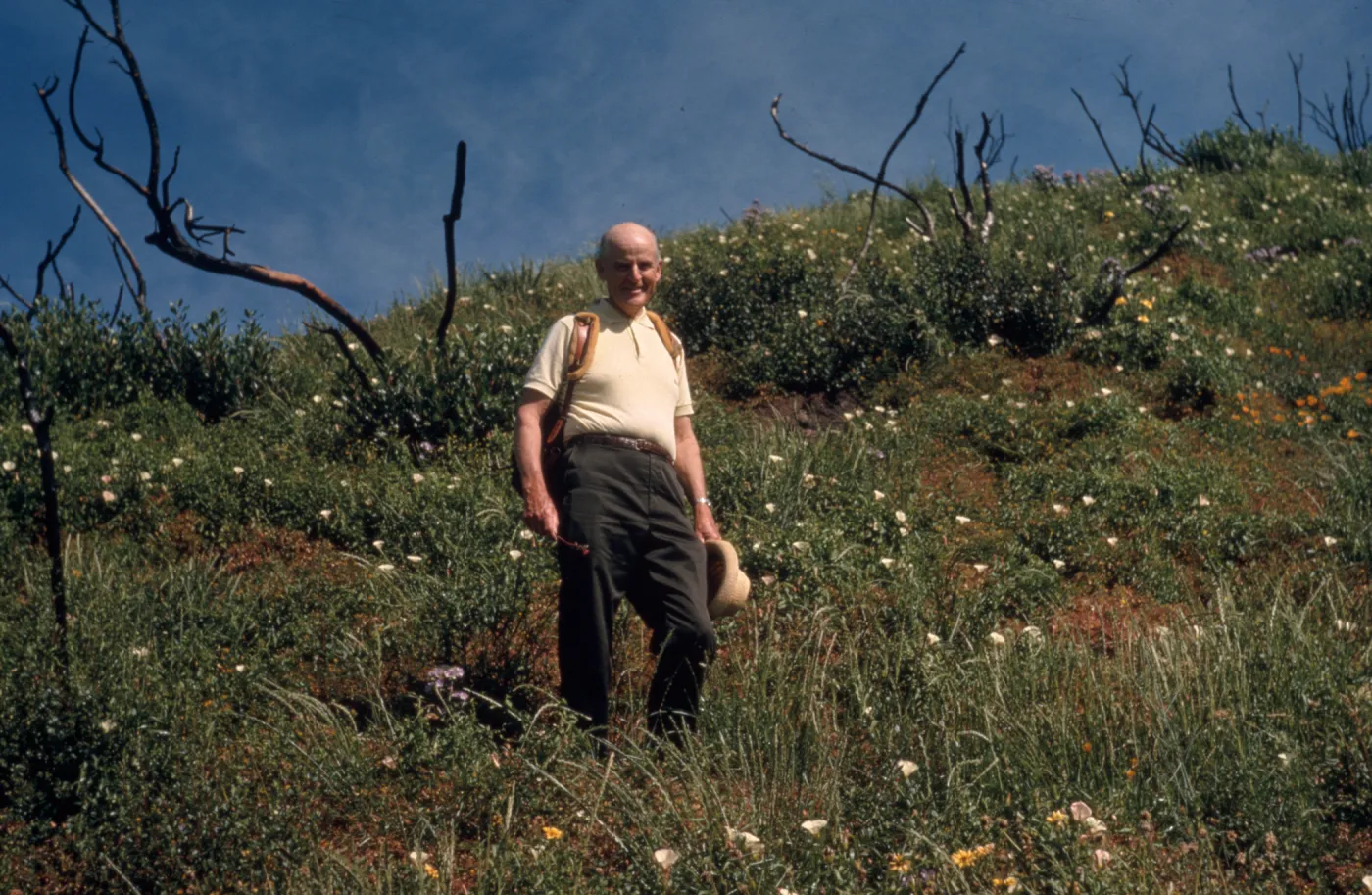 Donald Myrick, Board of Trustees