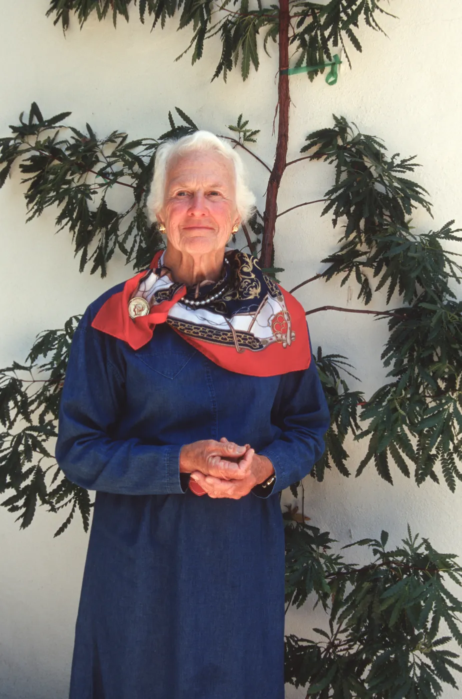 Anne Jones, Board of Trustees
