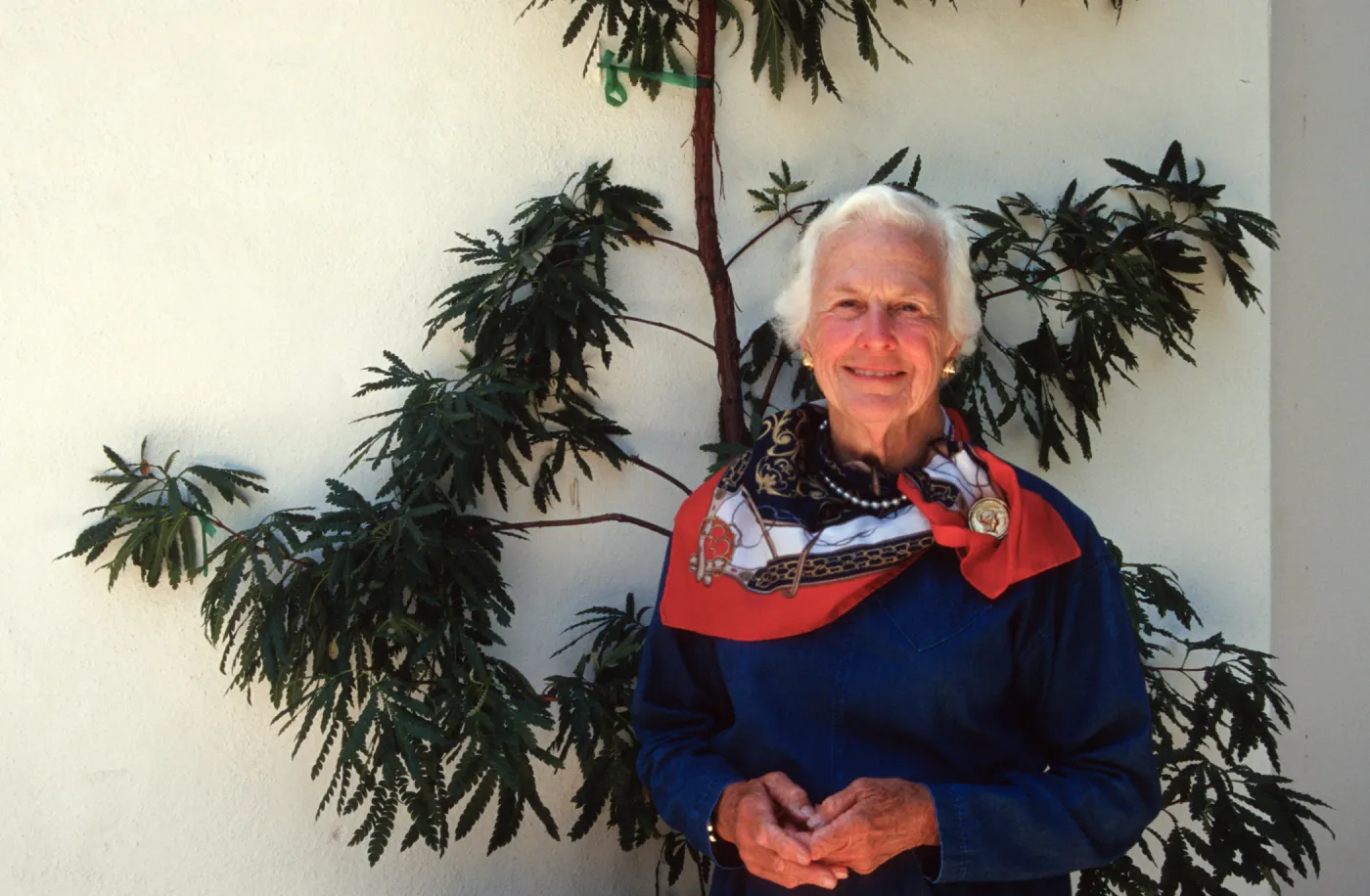 Anne Jones, Board of Trustees