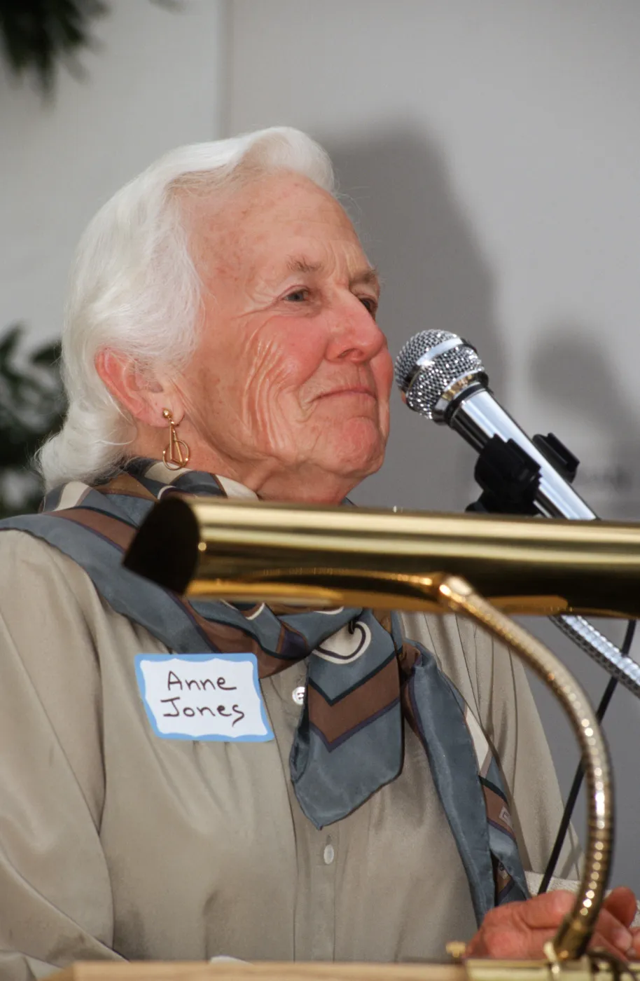Anne Jones, Board of Trustees