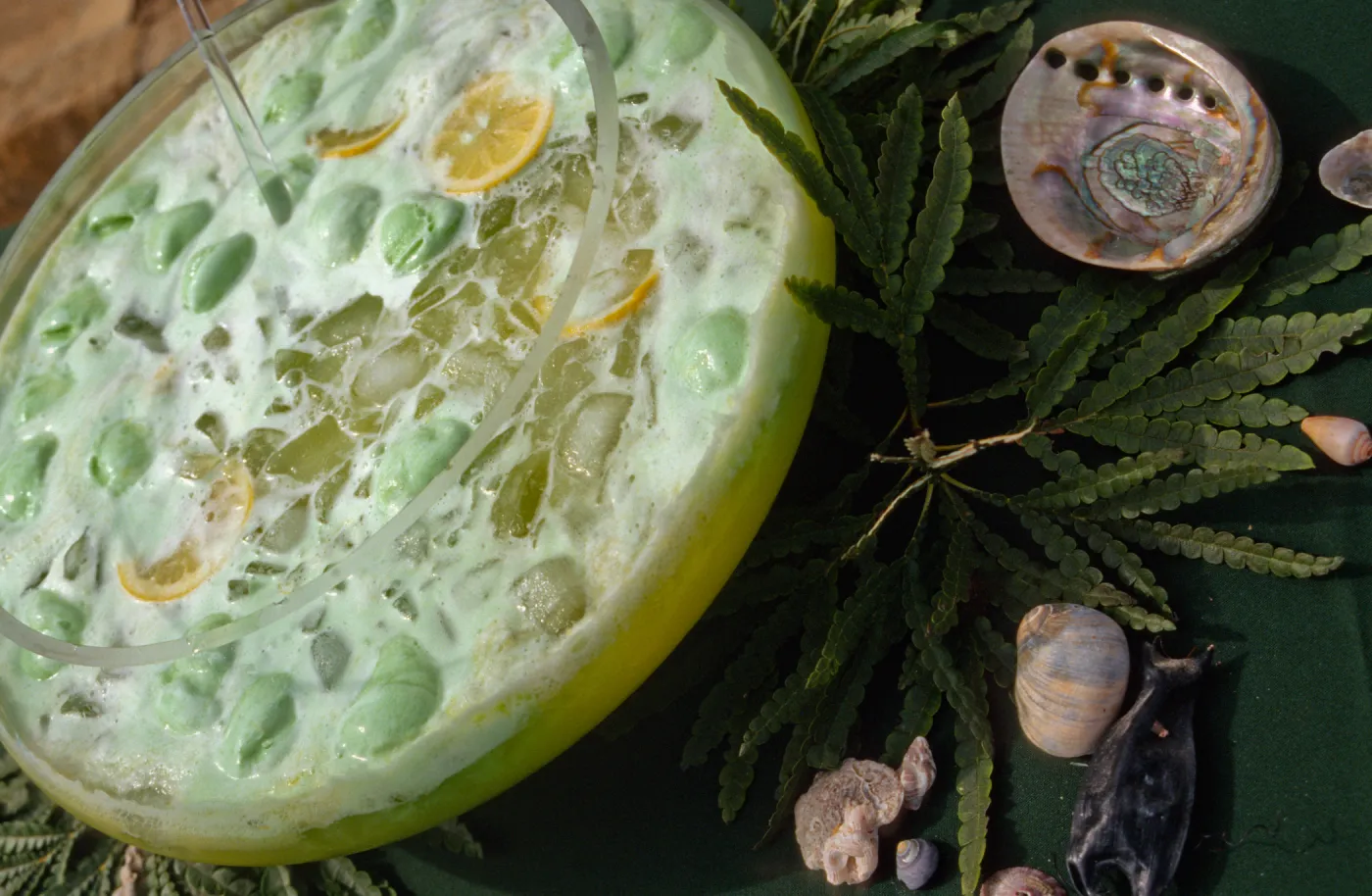 'Flora of Santa Cruz Island' book signing, punch bowl