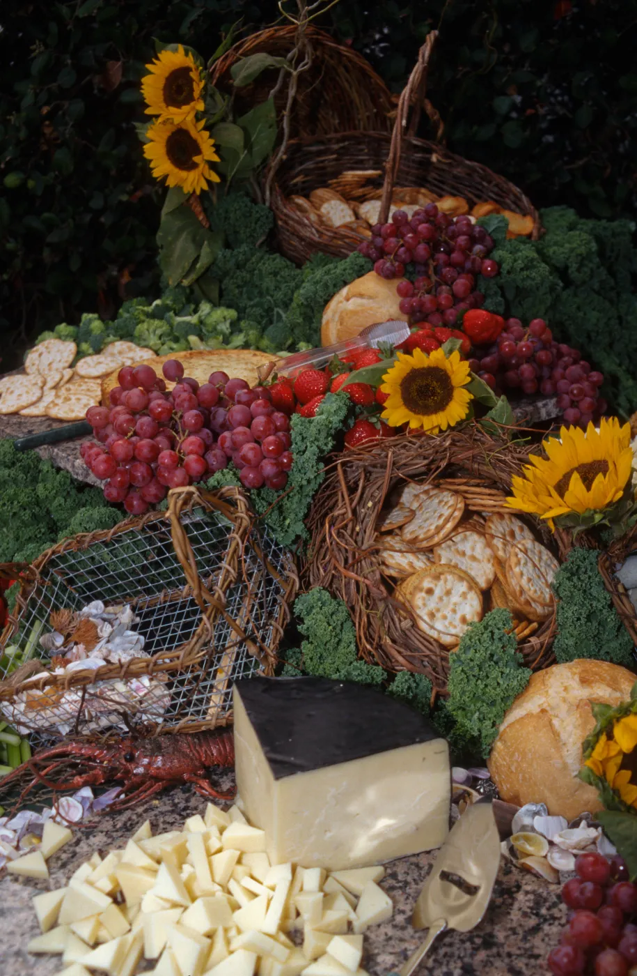 'Flora of Santa Cruz Island' book signing, buffet table (food display)