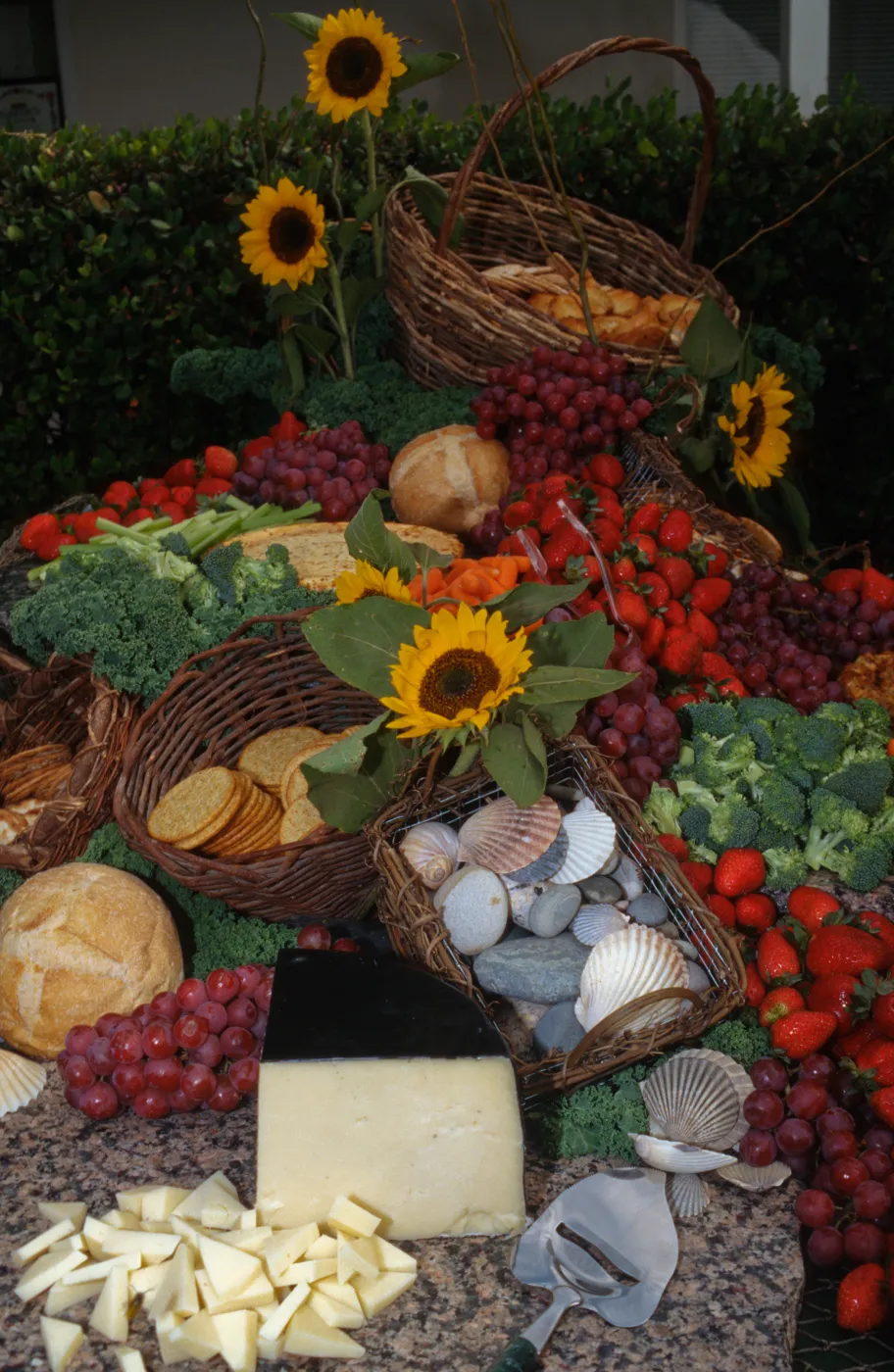 'Flora of Santa Cruz Island' book signing, buffet table (food display)