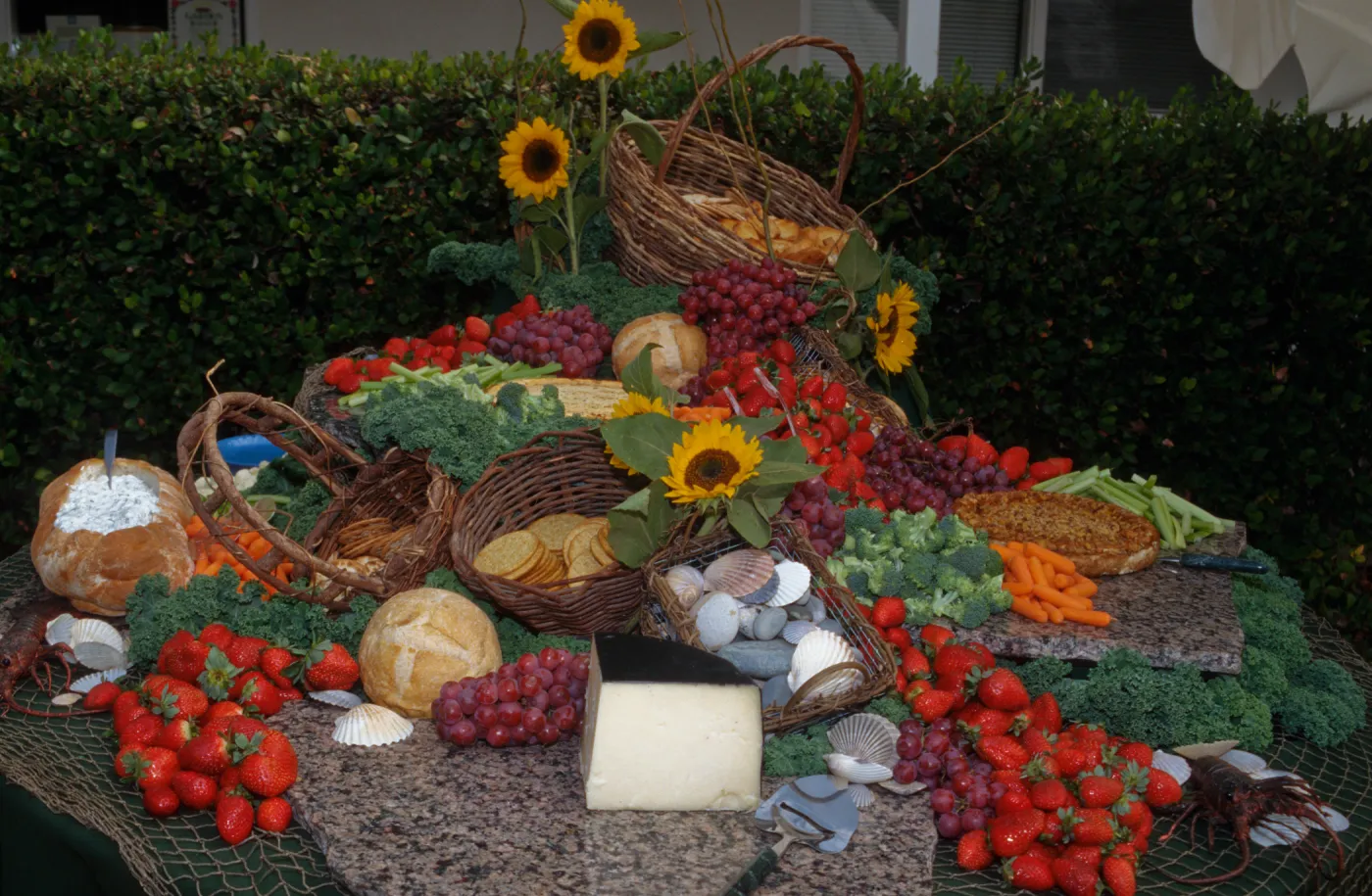 'Flora of Santa Cruz Island' book signing, buffet table (food display)