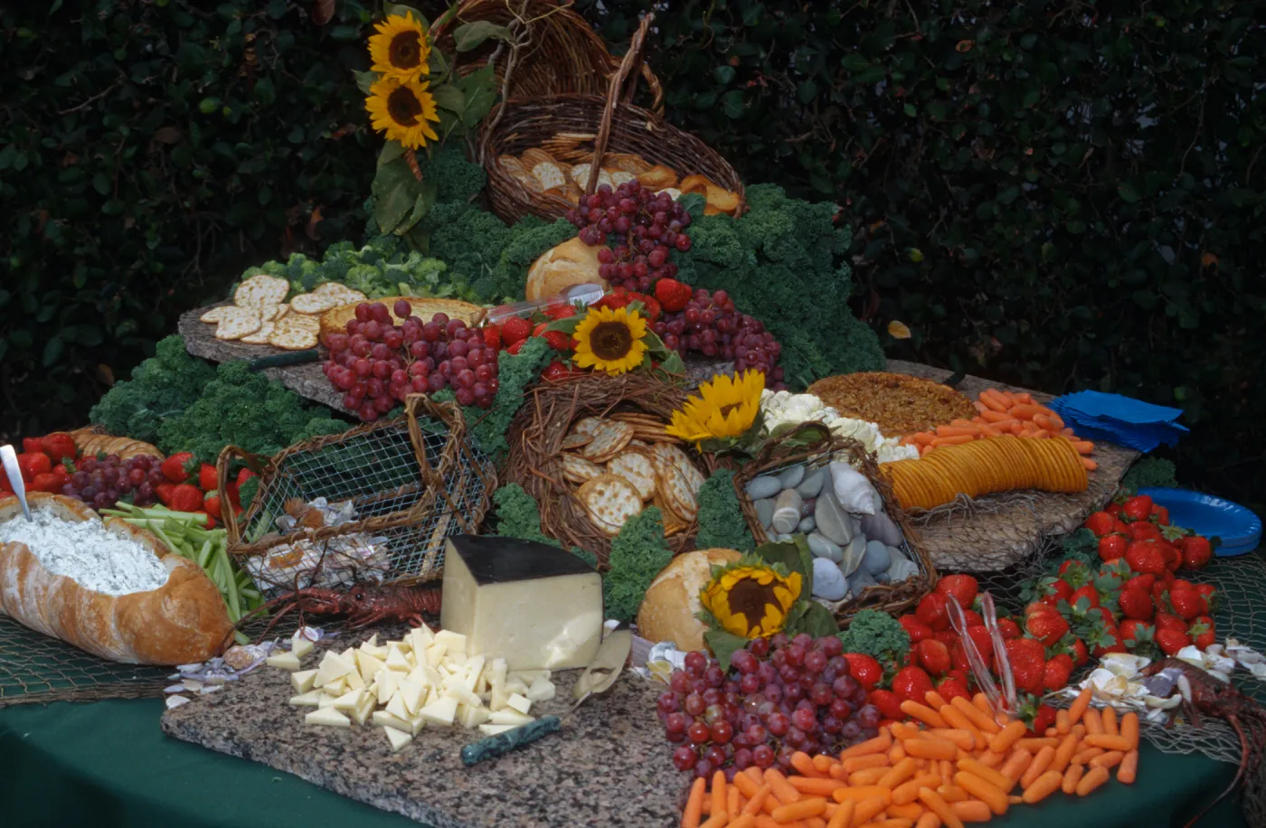 'Flora of Santa Cruz Island' book signing, buffet table (food display)