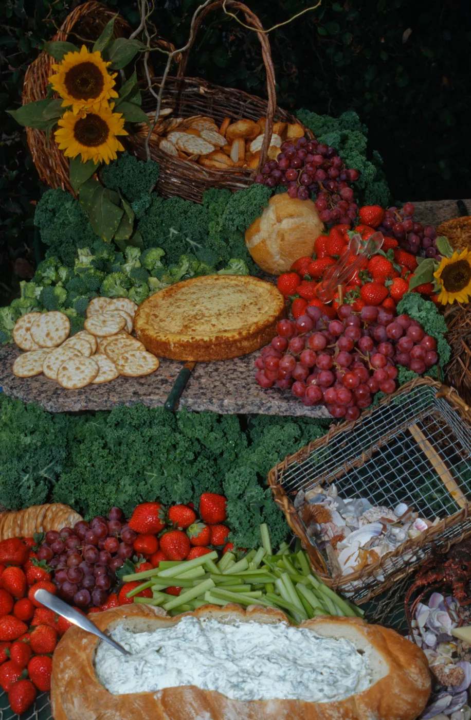 'Flora of Santa Cruz Island' book signing, buffet table (food display)