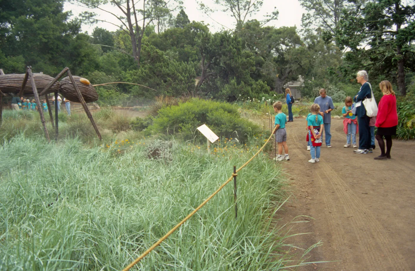 School Children's Tours and Classes, Docent tour, Big Bugs Ant in the Meadow