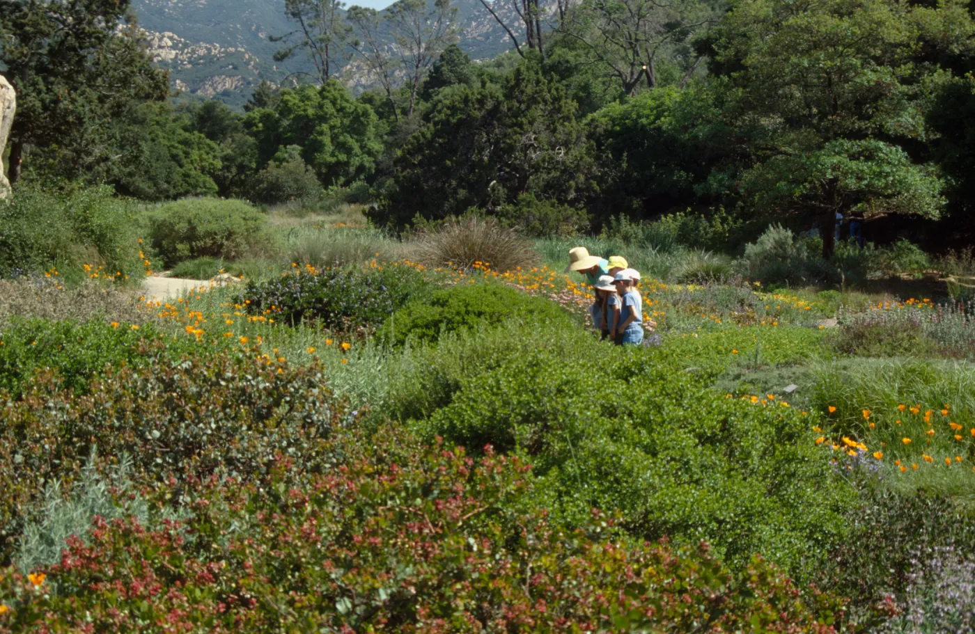 School Children's Tours and Classes