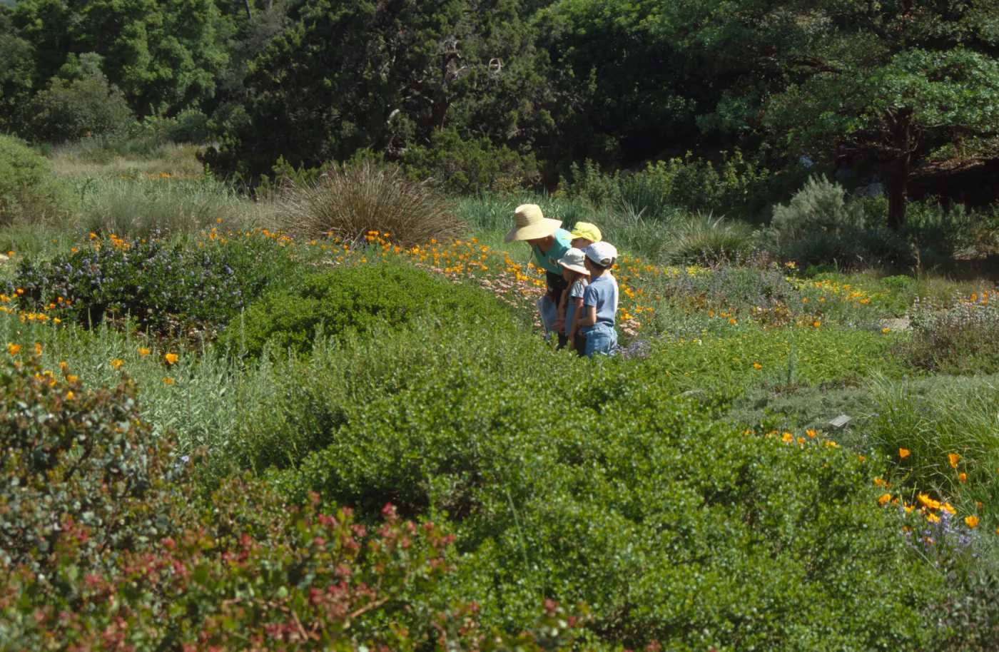 School Children's Tours and Classes
