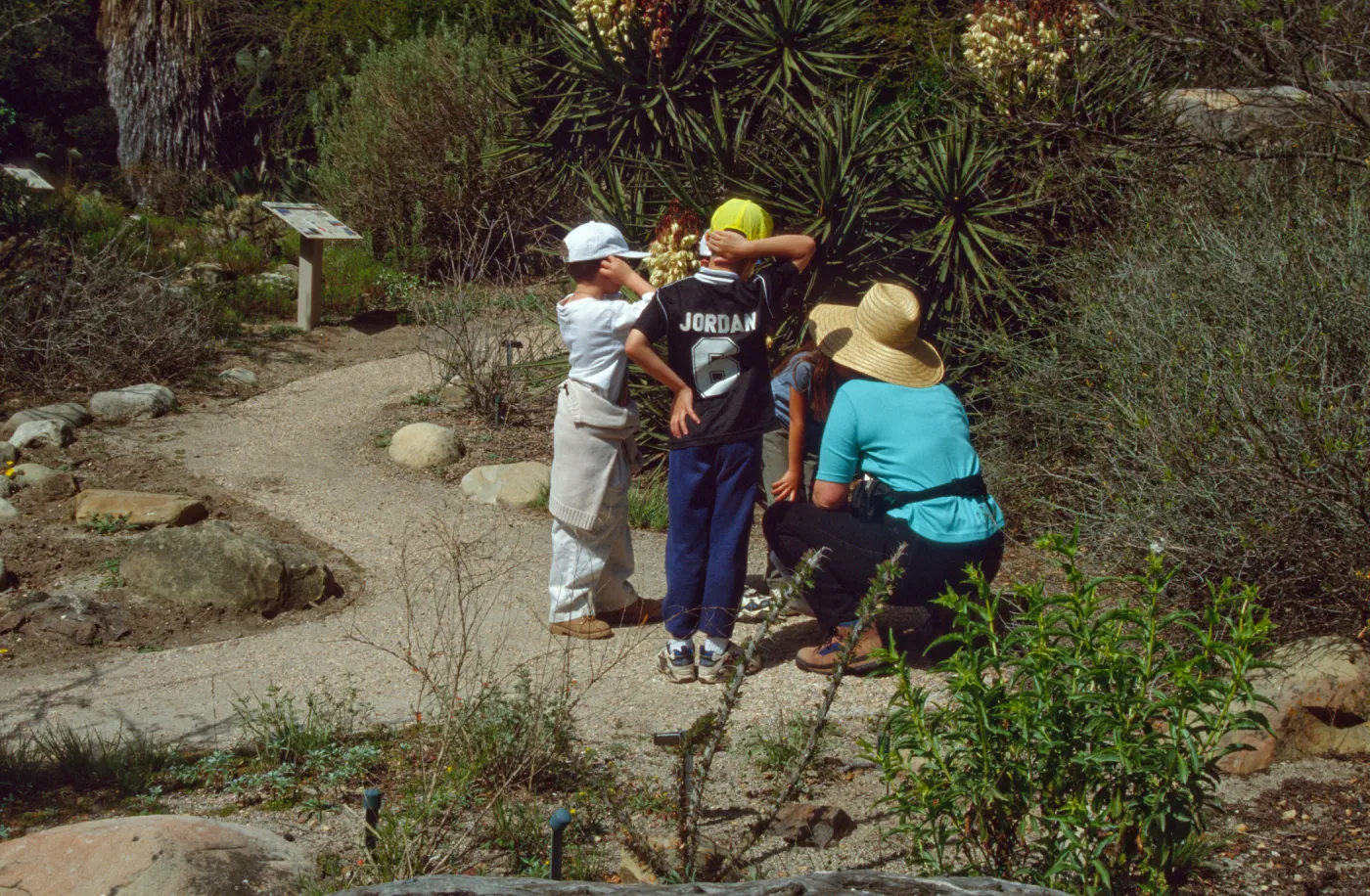 School Children's Tours and Classes