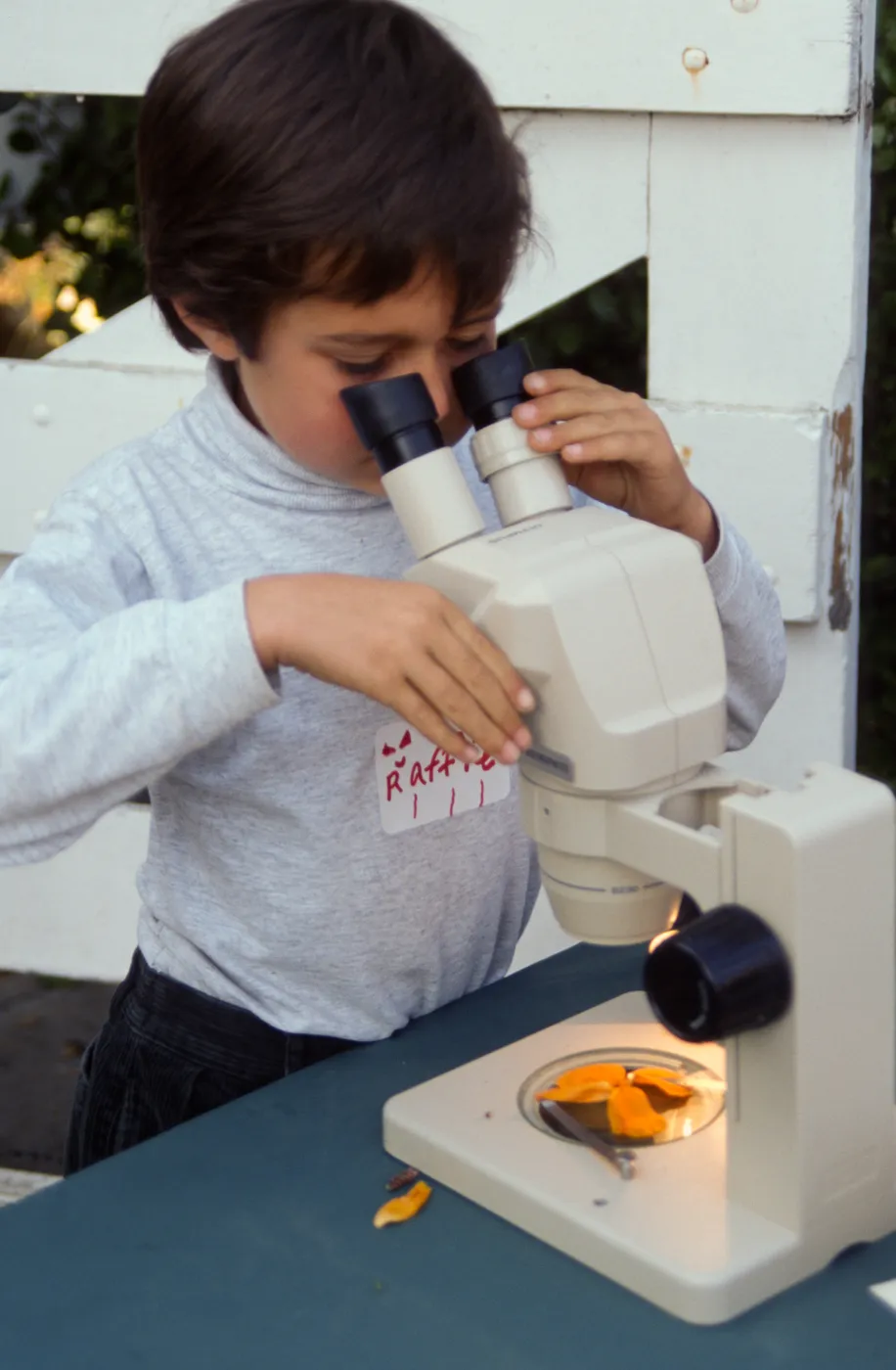 School Children's Tours and Classes