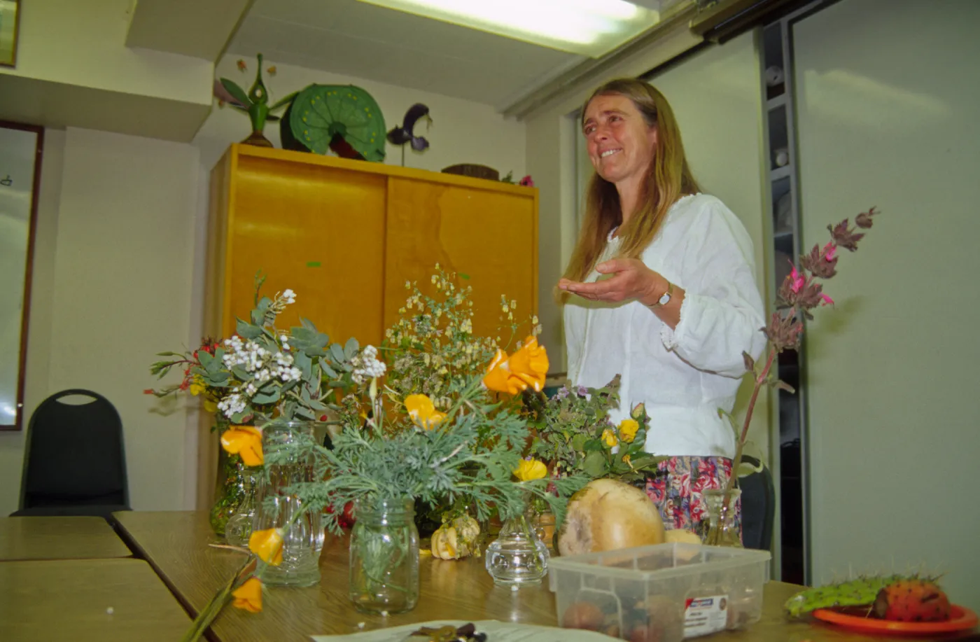 School Children's Tours and Classes