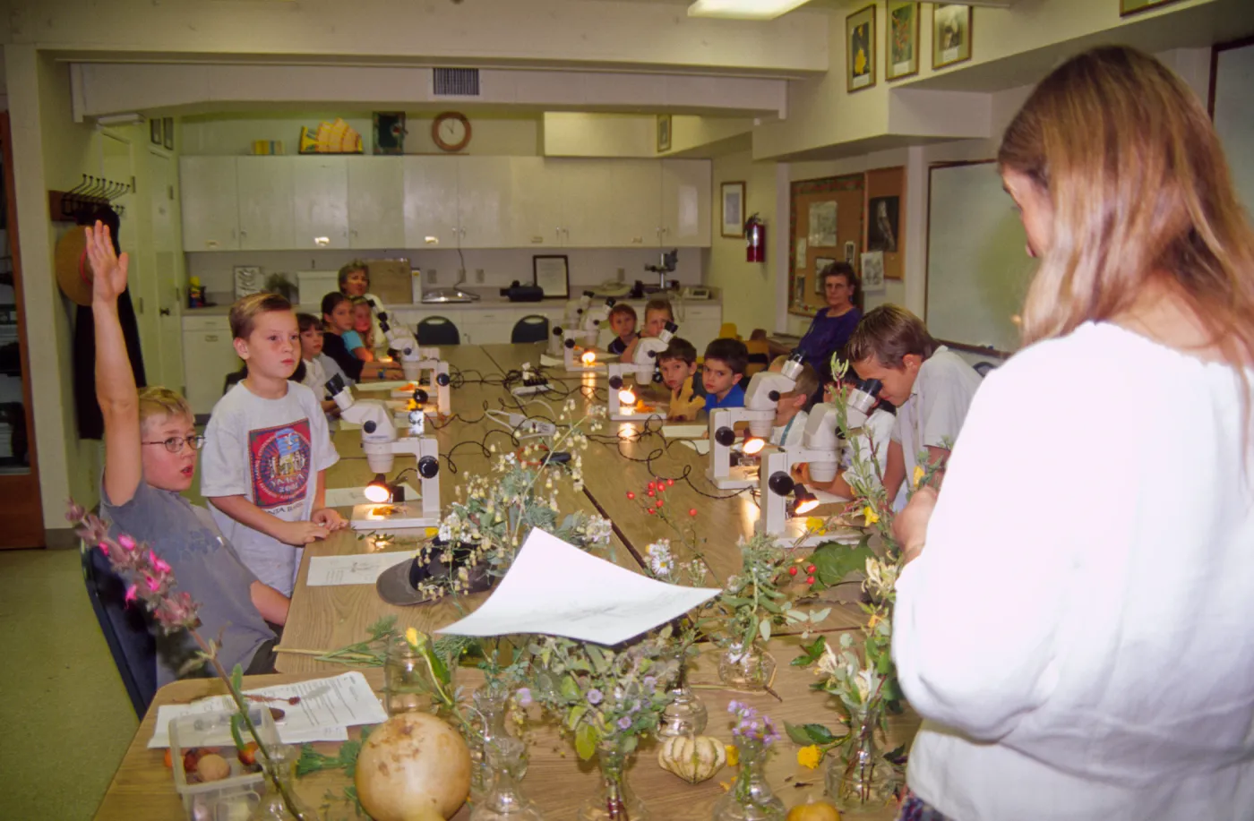 School Children's Tours and Classes