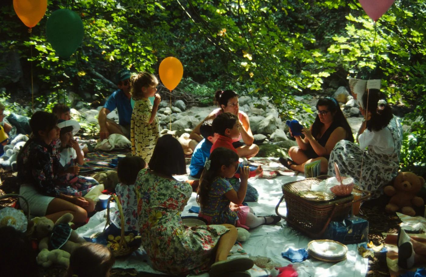 Teddy Bear Picnic