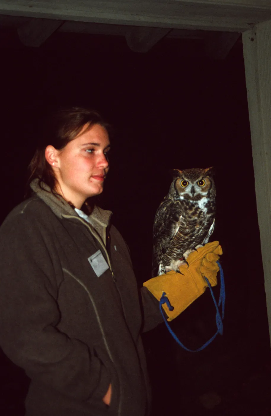 Owl-o-ween