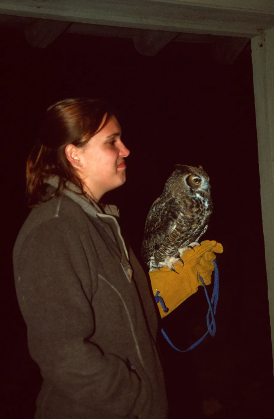 Owl-o-ween