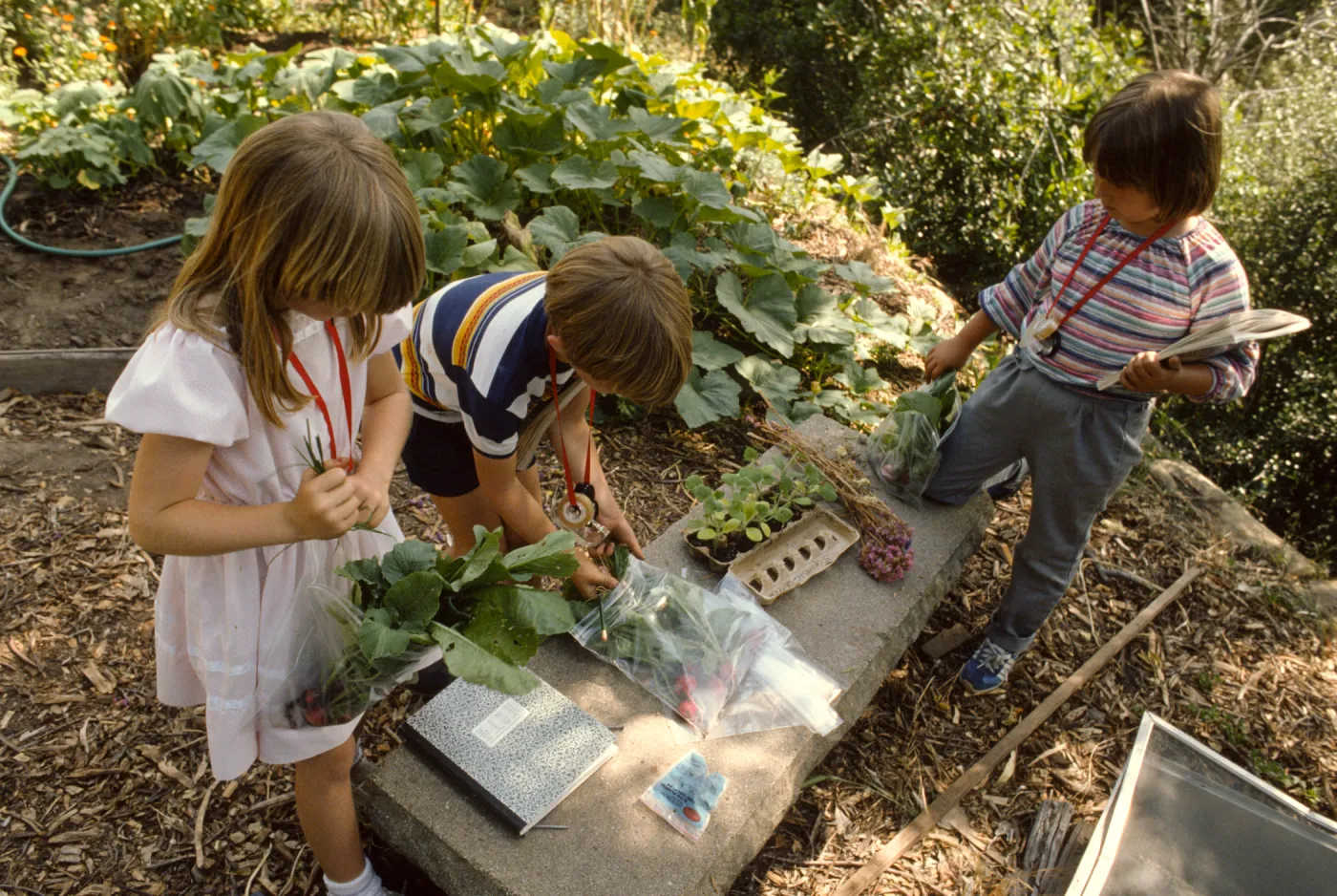 children gardening
