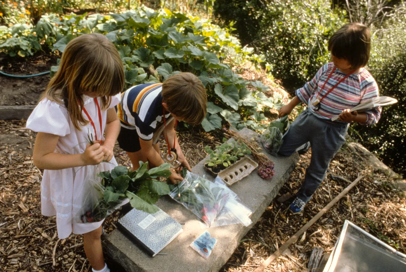 children gardening