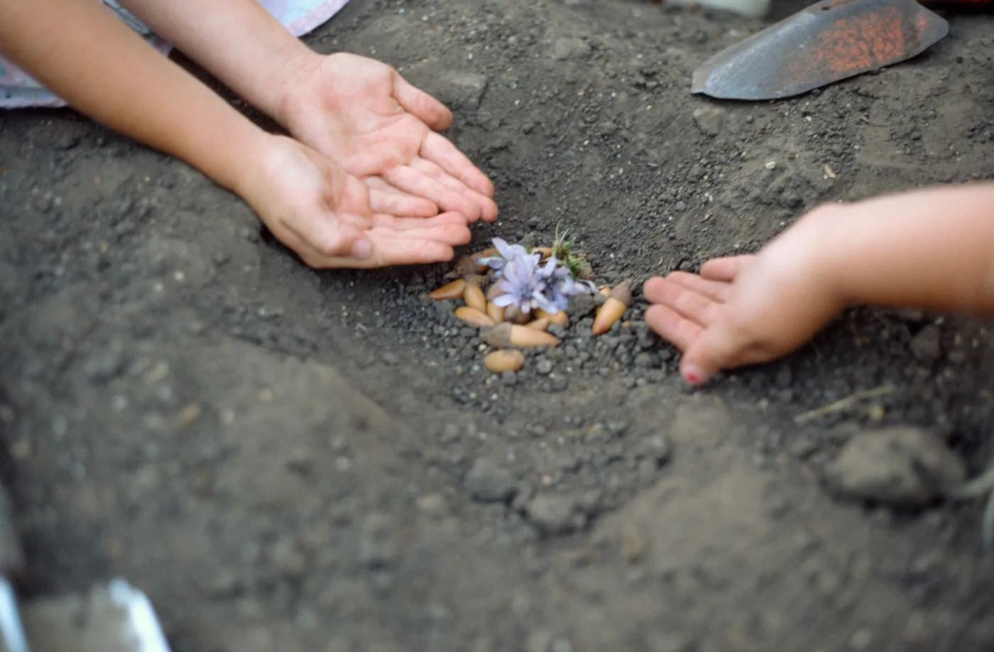 children gardening