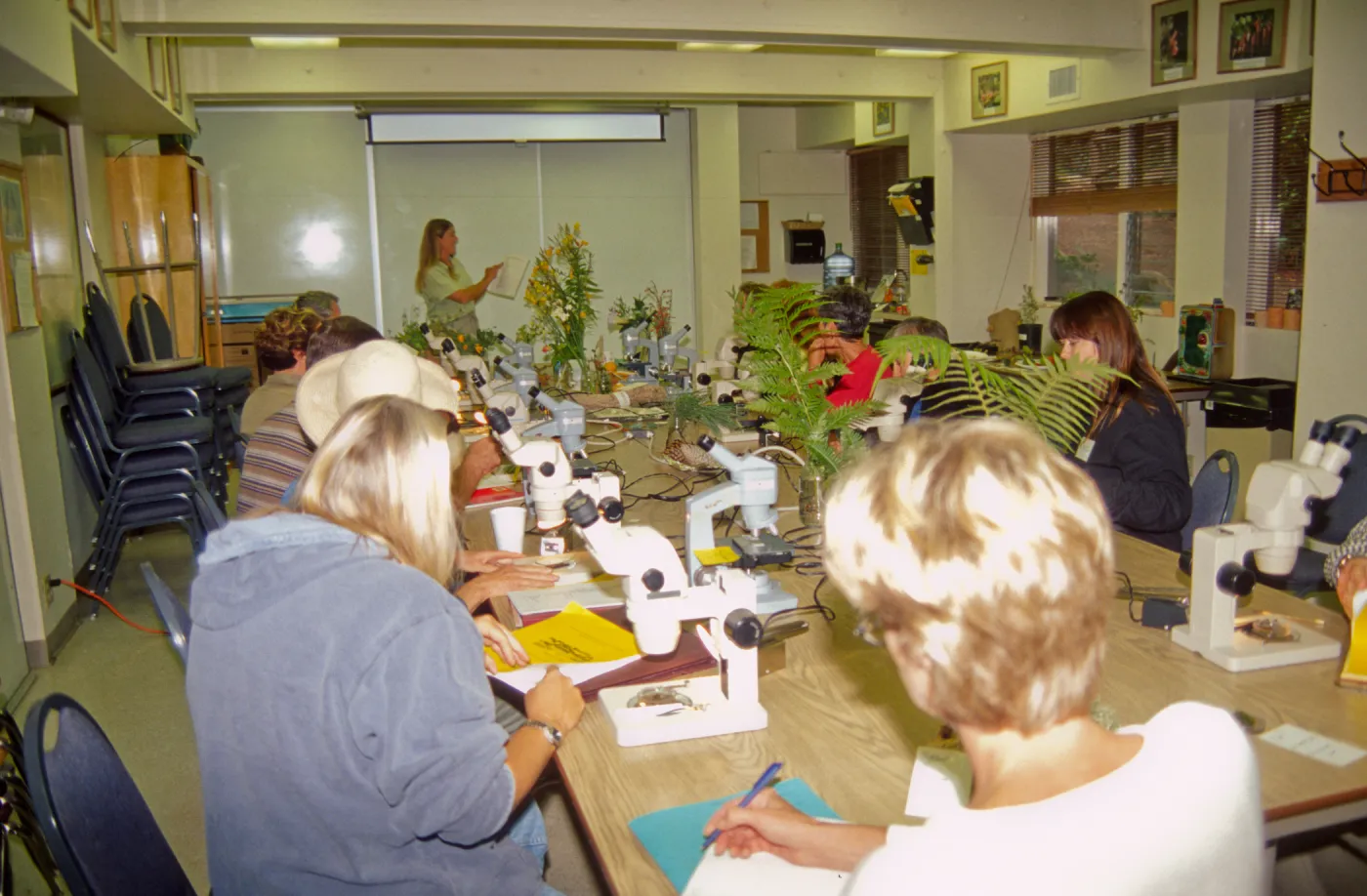 Adult Classes