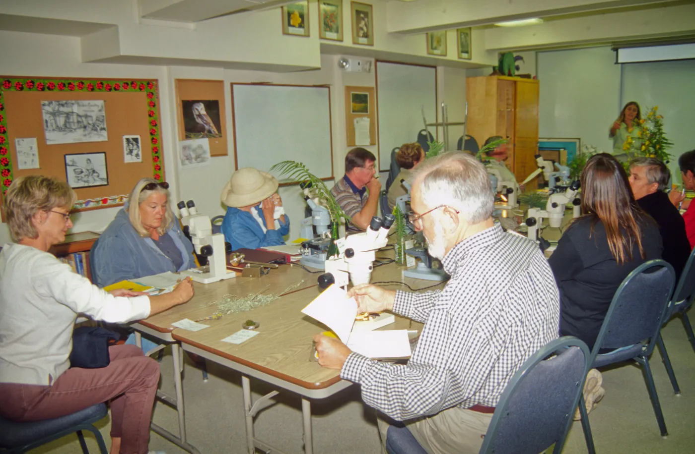 Adult Classes