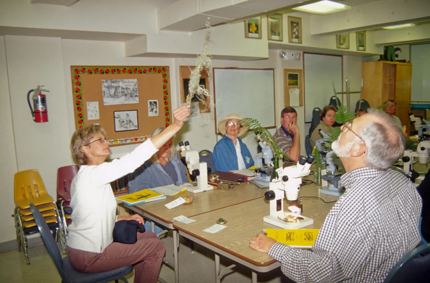 Adult Classes