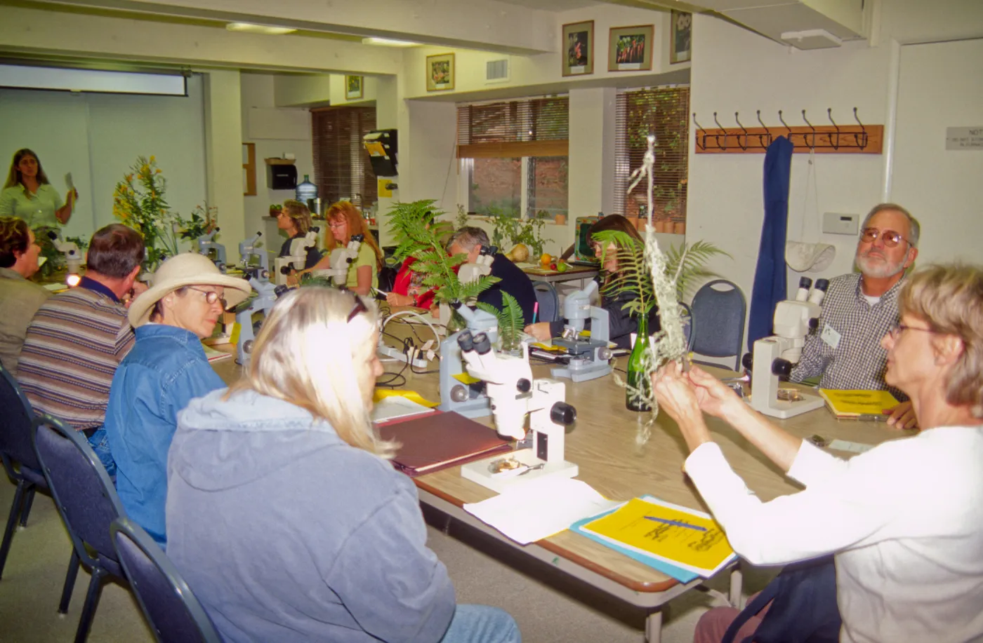 Adult Classes