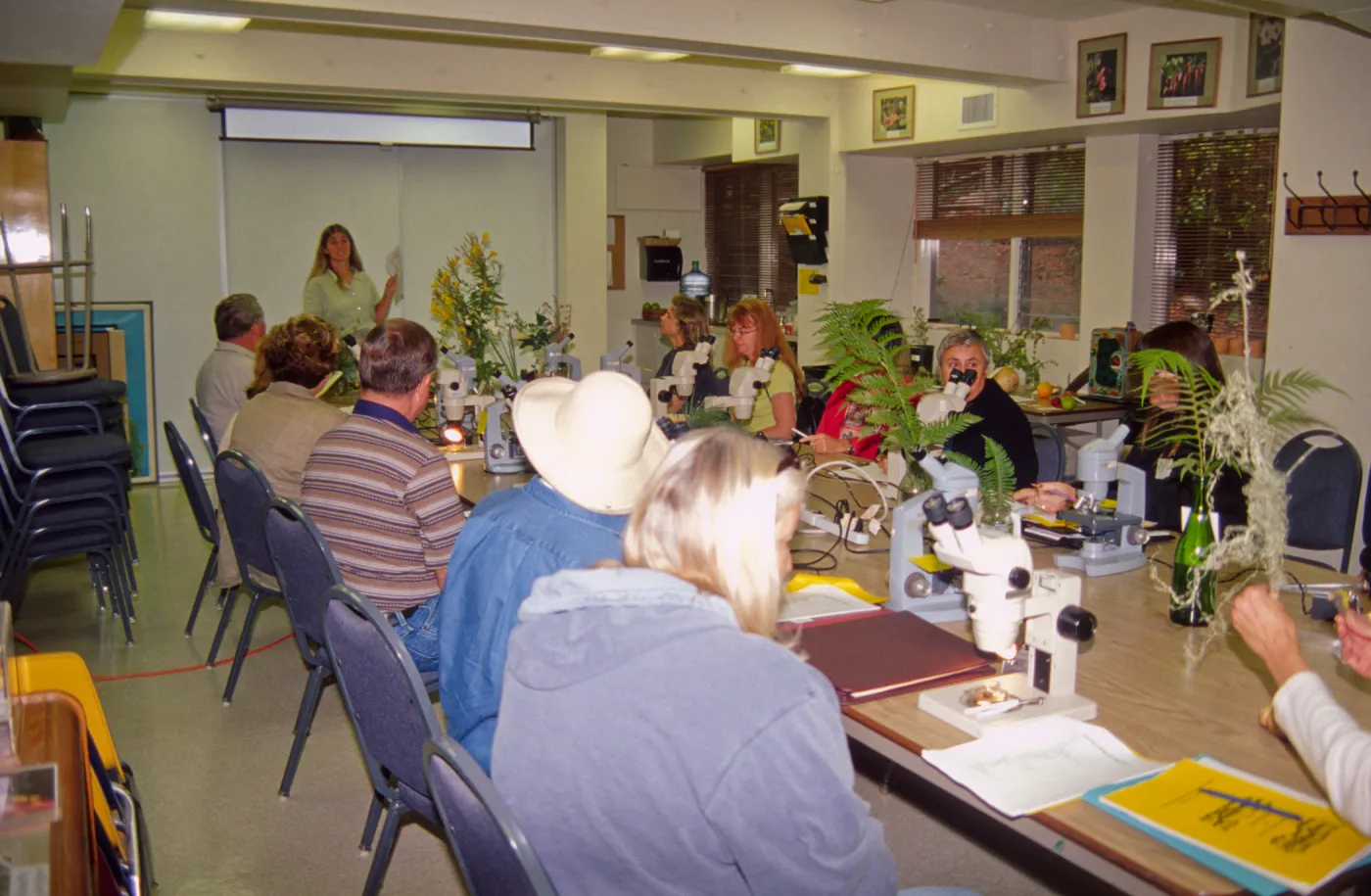 Adult Classes