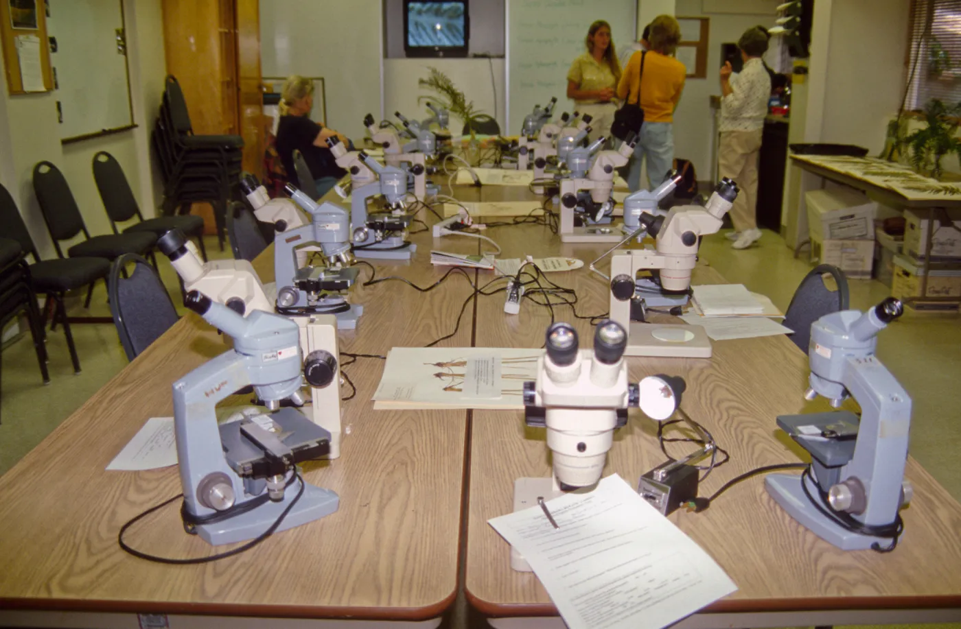 Adult Classes