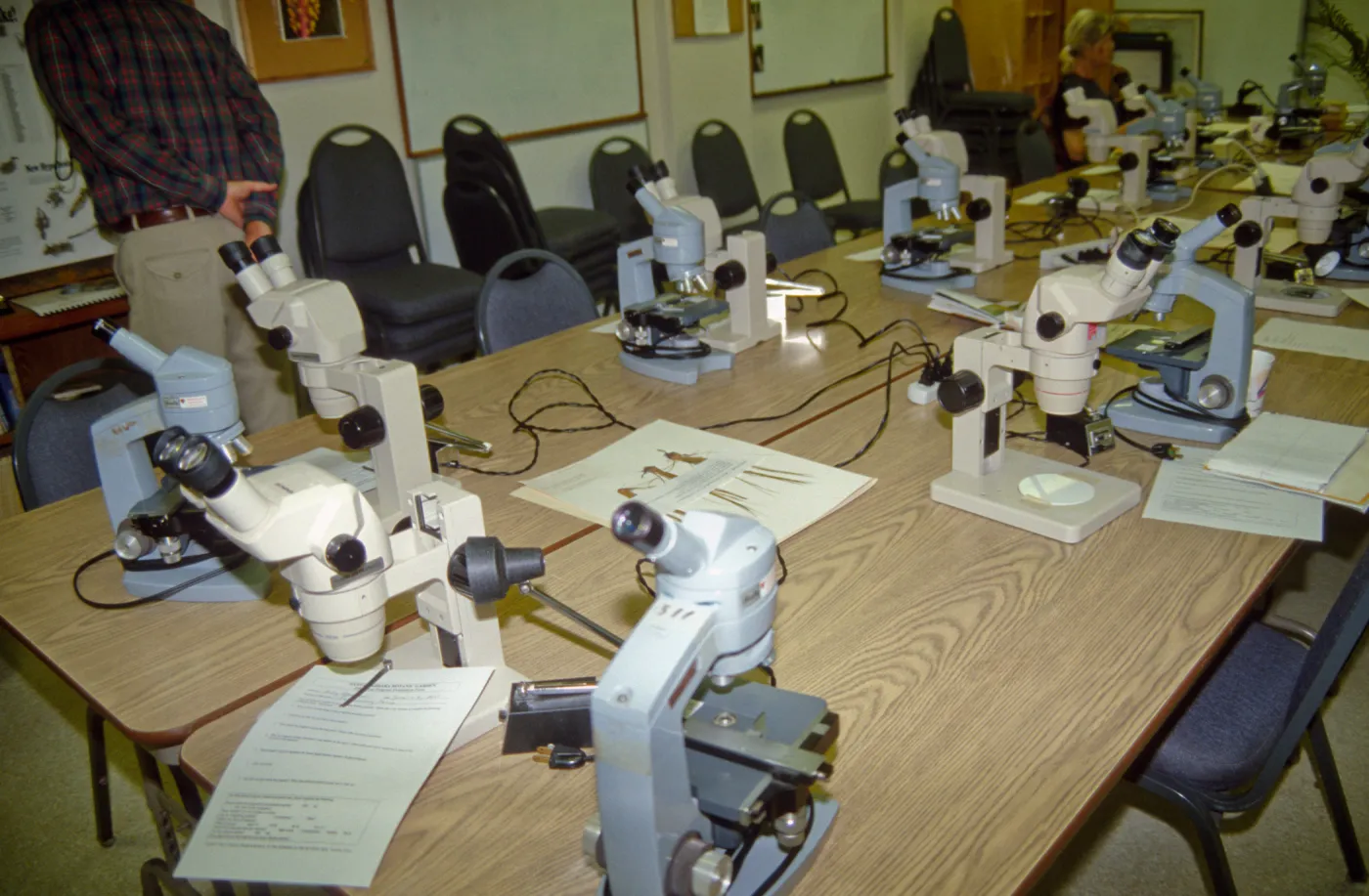 Adult Classes