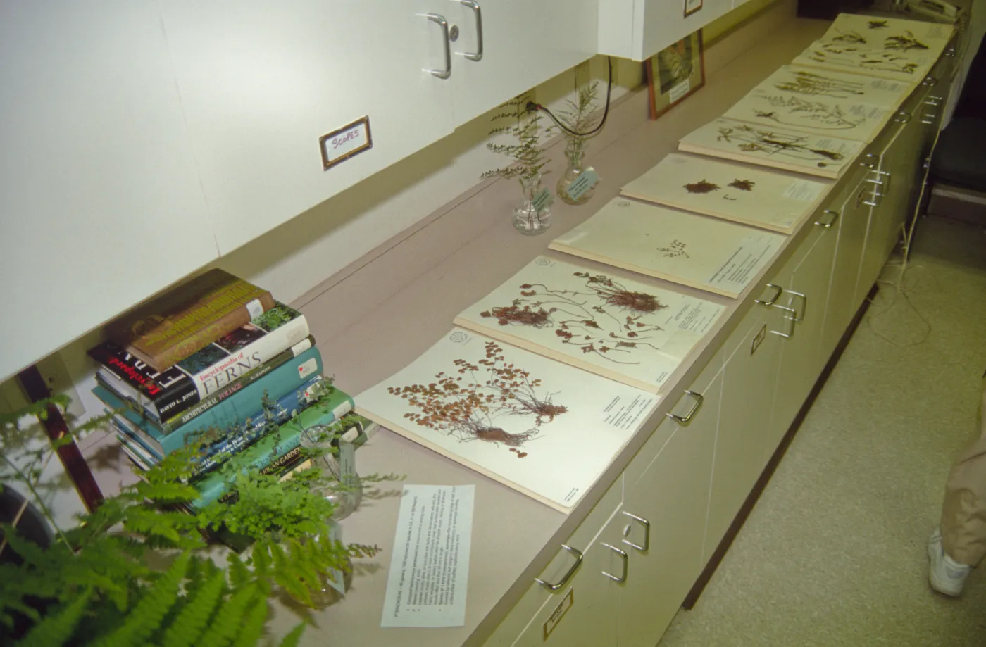 Adult Classes