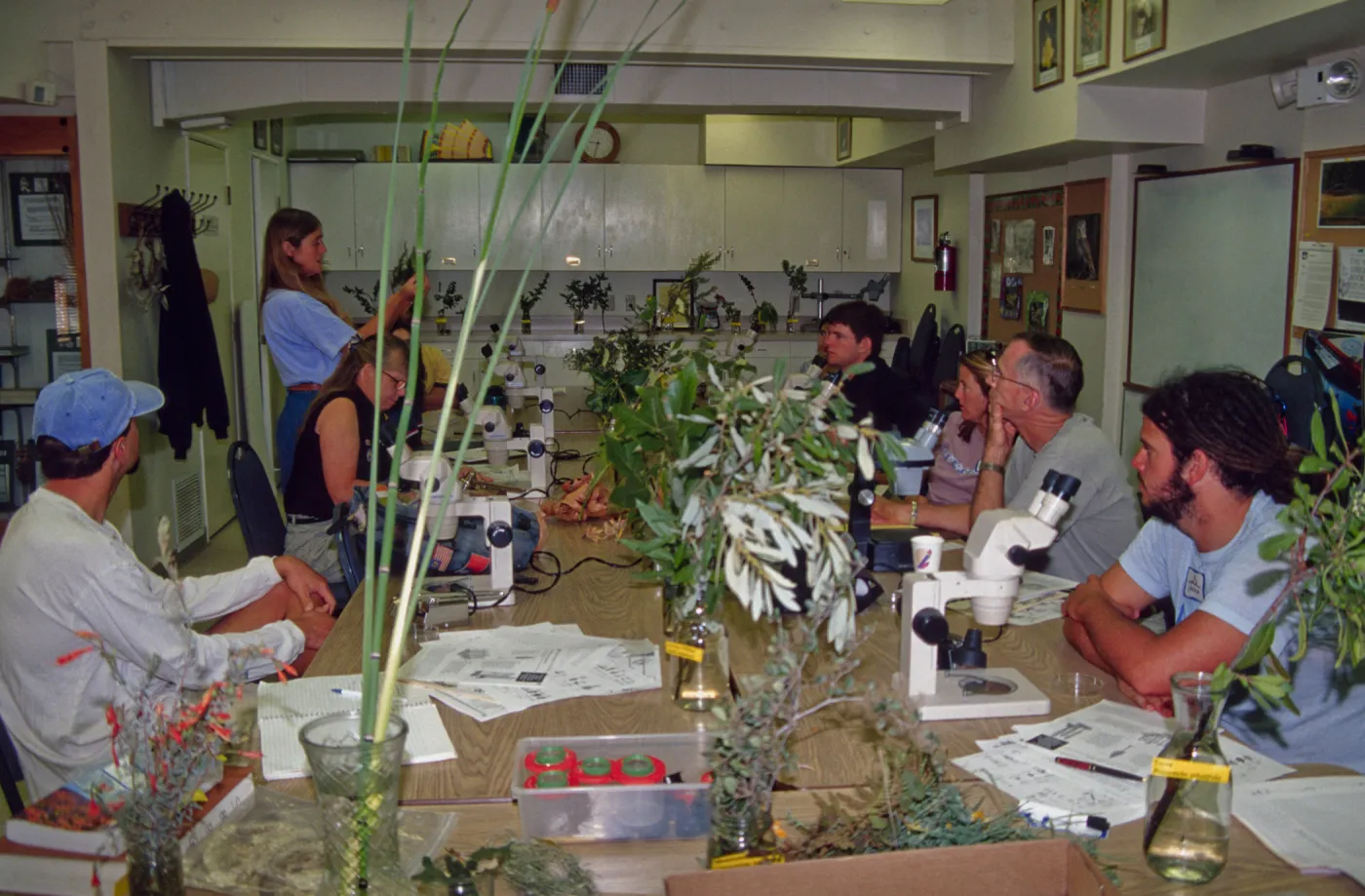 Adult Classes