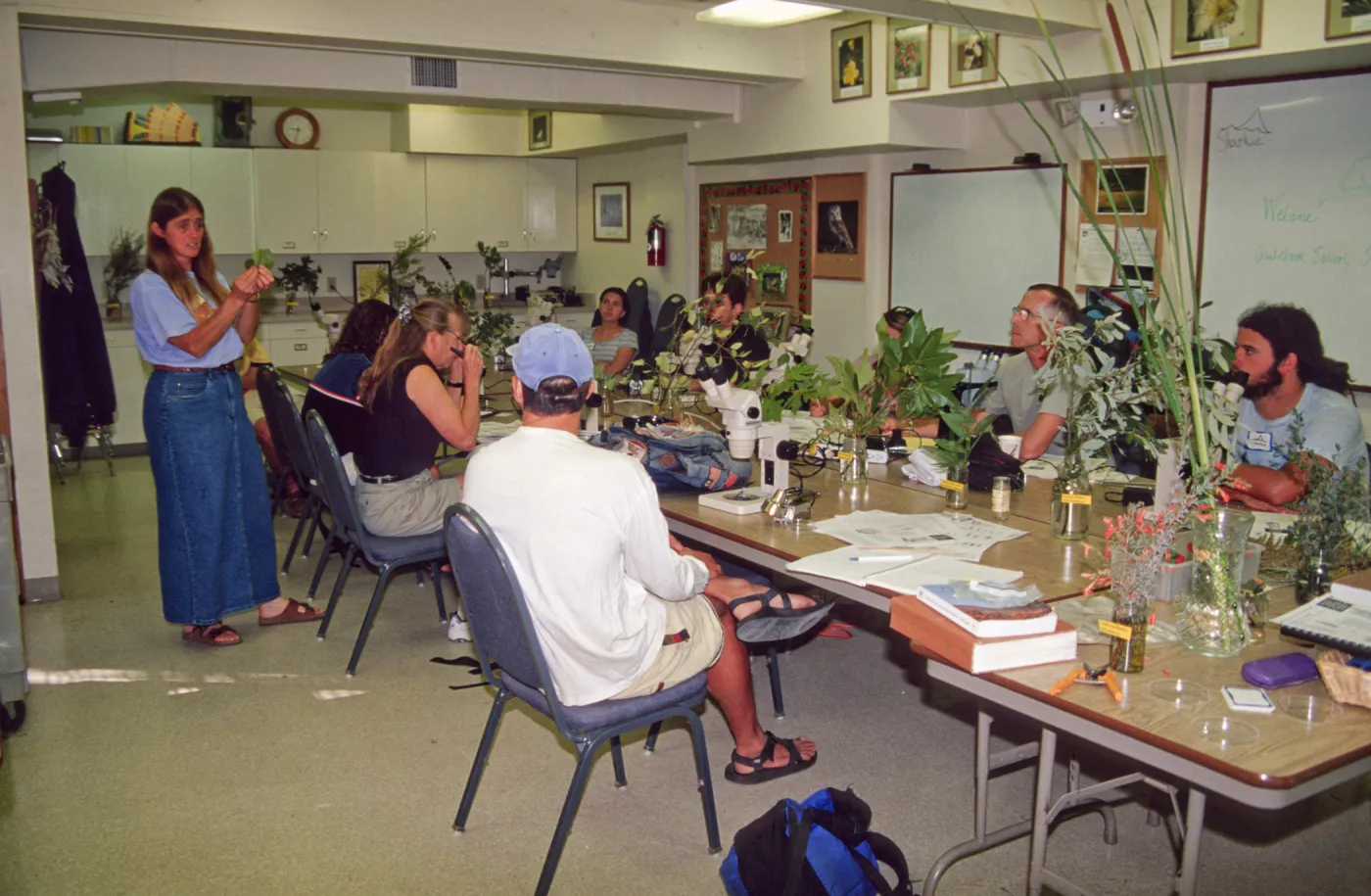Adult Classes