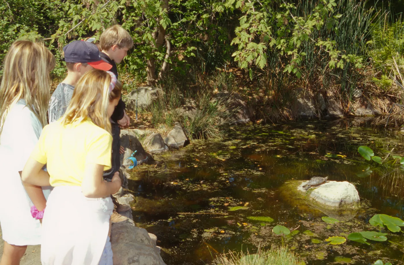 Docent Tours