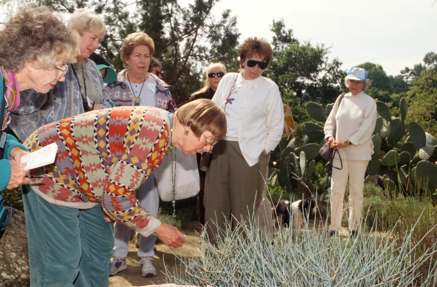 Docent Tours