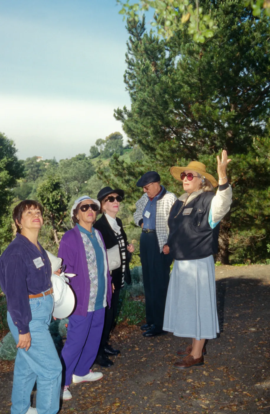 Docent Tours