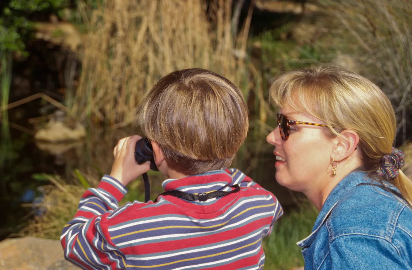 Docent Tours
