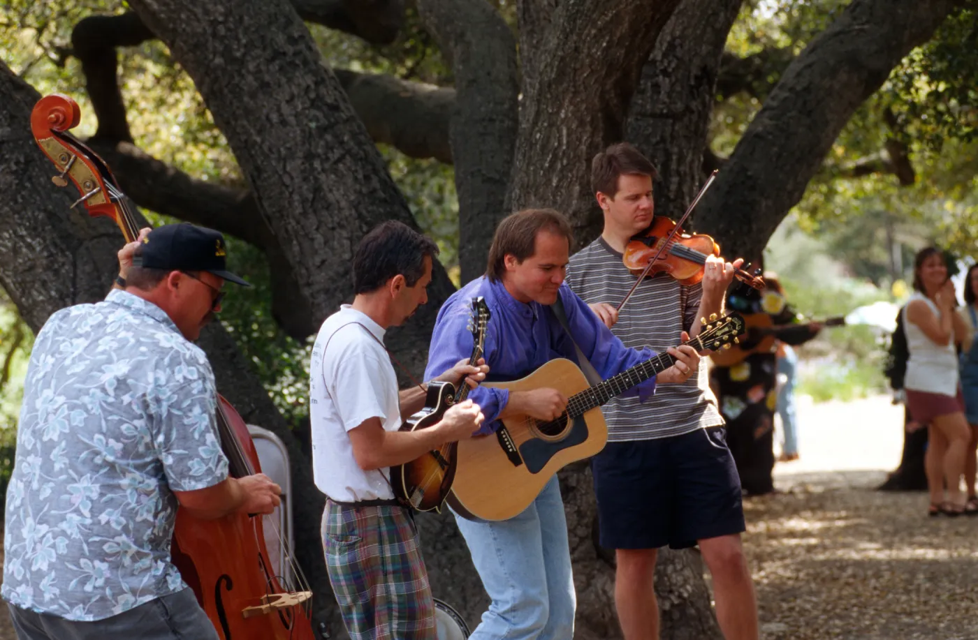 Celebration of Trees 1996