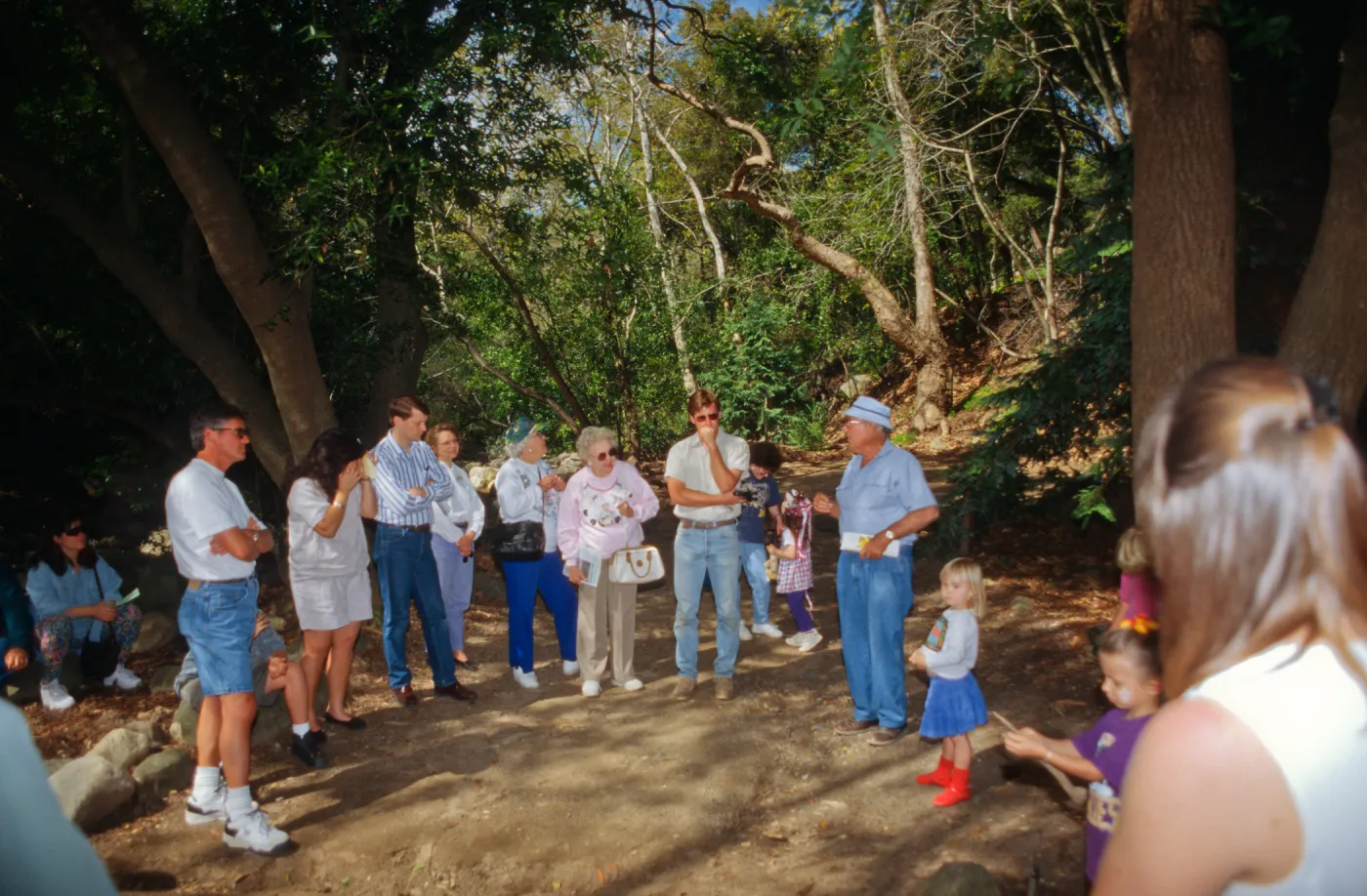 Celebration of Trees 1996