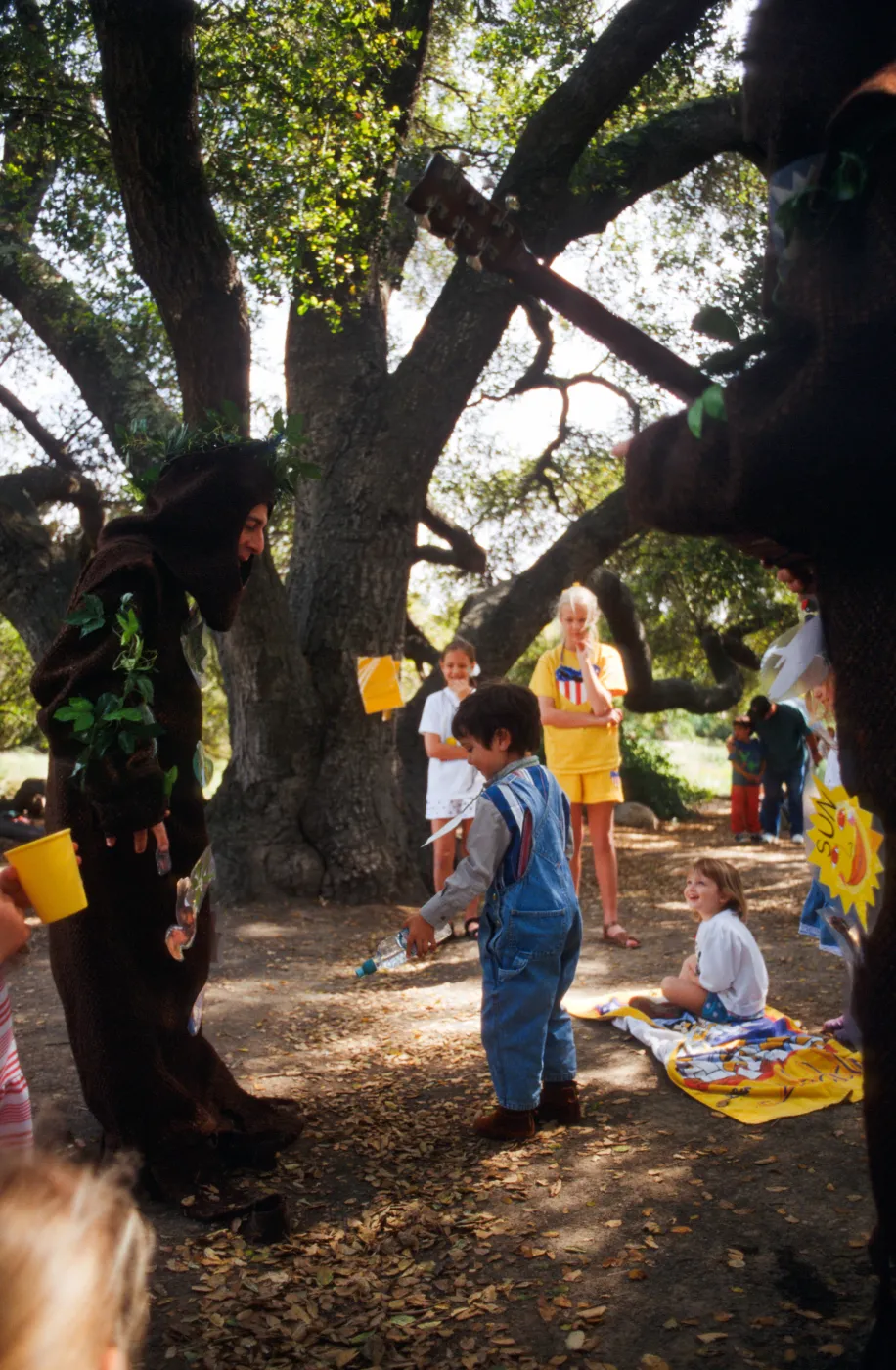 Celebration of Trees 1996