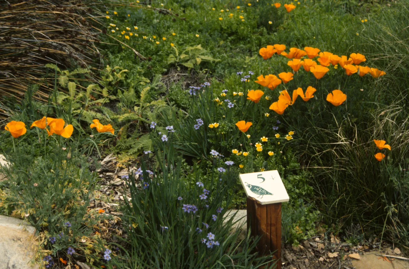 Nature Loves a Detective, trail marker