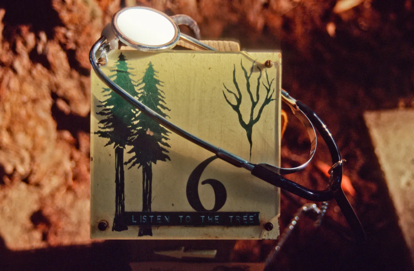 Nature Loves a Detective